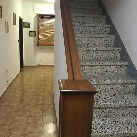 Tra Gli Ulivi