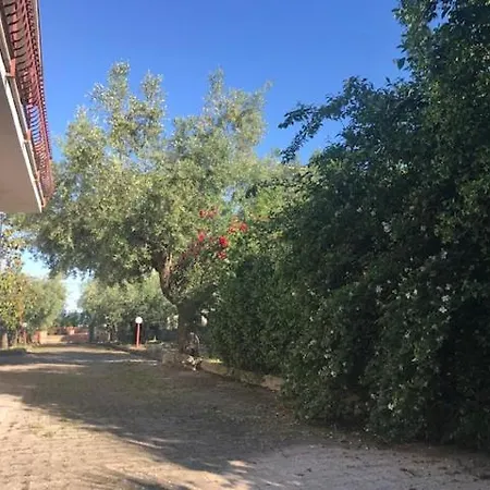 Apartment Tra Gli Ulivi