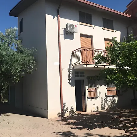 Tra Gli Ulivi