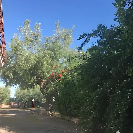 Tra Gli Ulivi Lanciano