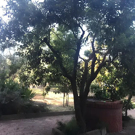 Appartement Tra Gli Ulivi *