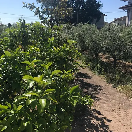 Tra Gli Ulivi Appartement