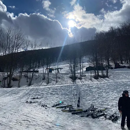 Tra Gli Ulivi Appartement *