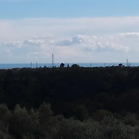 Tra Gli Ulivi * Lanciano