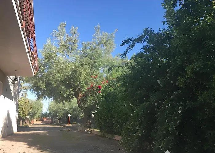 Tra Gli Ulivi Lanciano