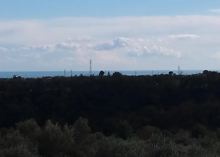 Tra Gli Ulivi * Lanciano